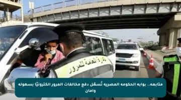 متابعة.. بوابة الحكومة المصرية تُسهّل دفع مخالفات المرور إلكترونيًا بسهولة وأمان